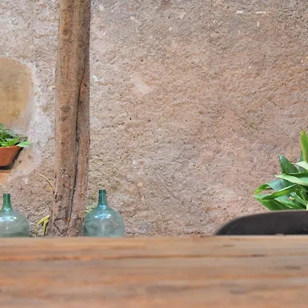 Casa Alcariot 252 By Mallorca Charme Holiday home